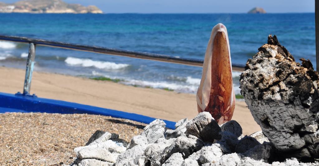 Apartment Mar De Pulpi Las Azaleas San Juan de los Terreros エクステリア 写真